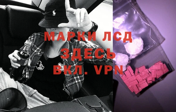 дмт Аркадак