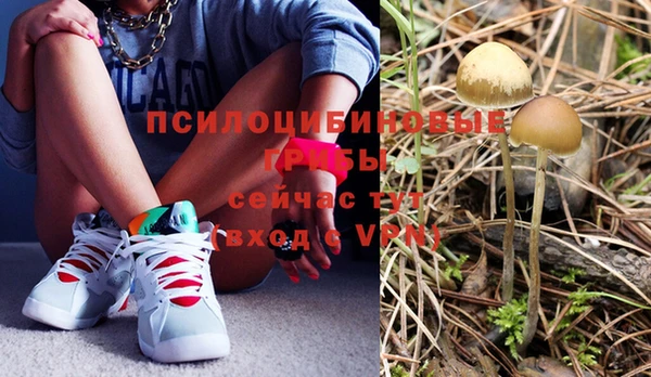 не бодяженный Армянск