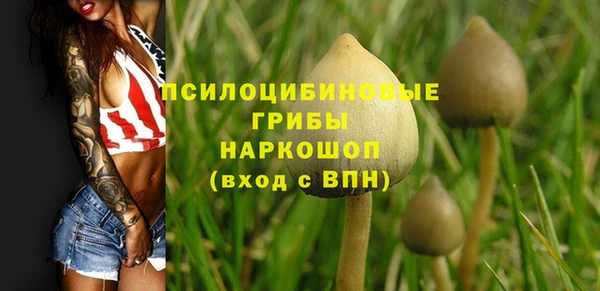 не бодяженный Армянск
