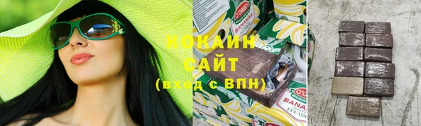 дмт Аркадак