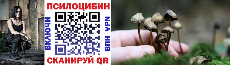 darknet наркотические препараты Багратионовск Галлюциногенные грибы Magic Shrooms